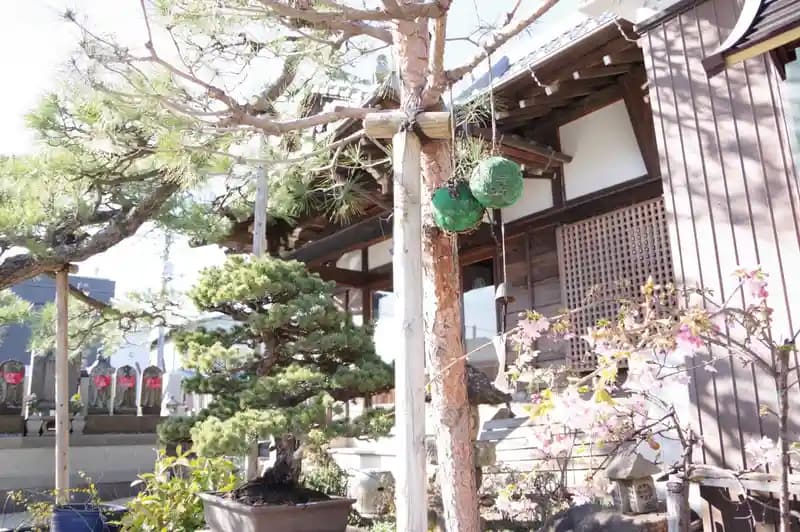龍岩寺
