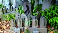 養國寺