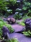養國寺