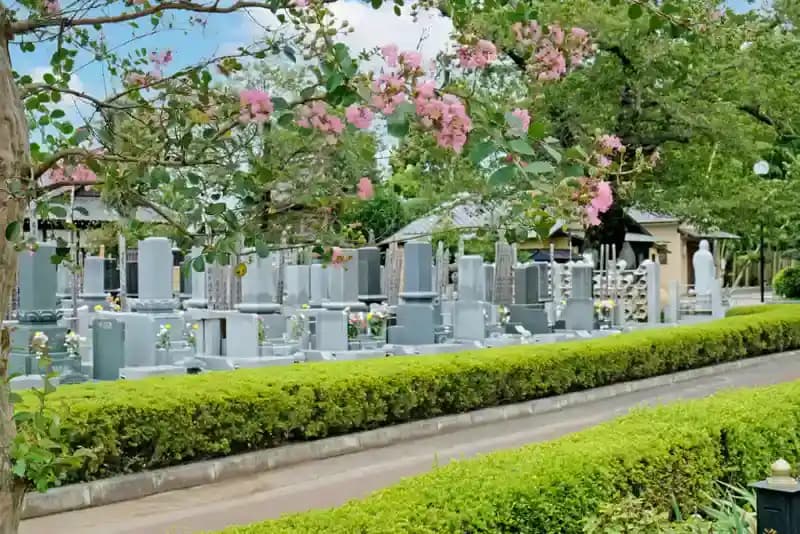 真光寺墓地