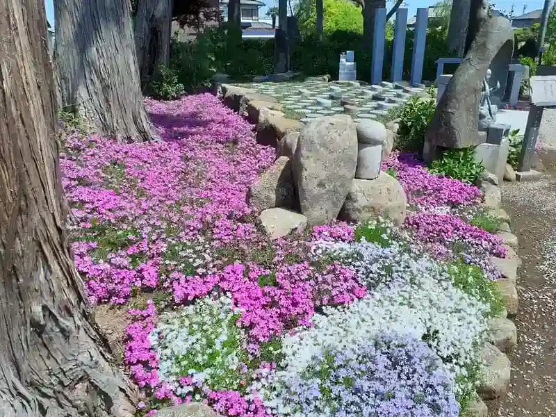 メモリーガーデンあじさいの杜霊園 樹木葬墓「安楽」