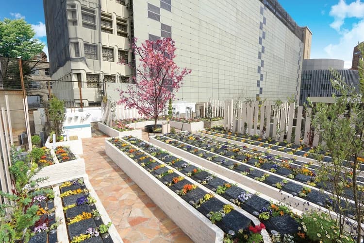 新宿区 樹木葬「瑠璃の光」