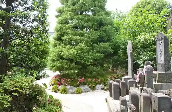 園内寸景