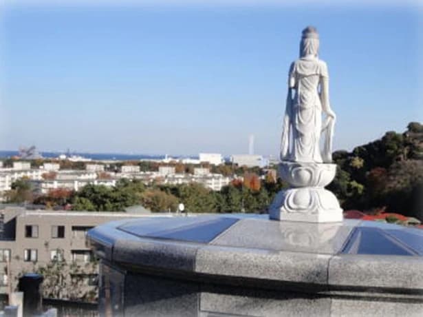 富岡さくらメモリアル