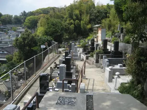 富岡さくらメモリアル