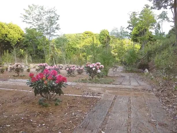 市原南霊園　樹木葬霊園
