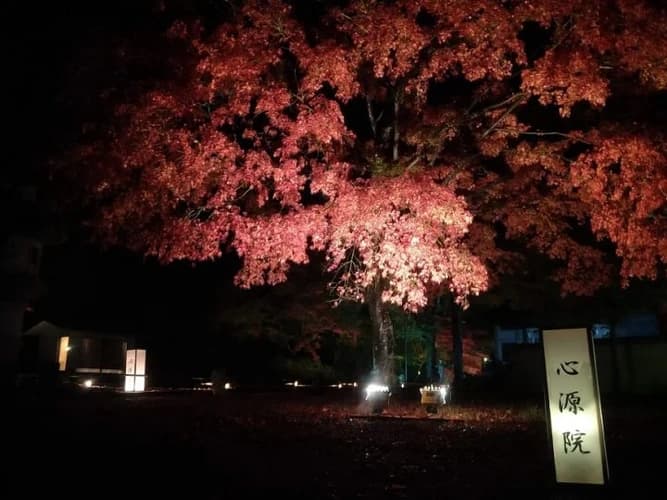 心源院 のうこつぼ