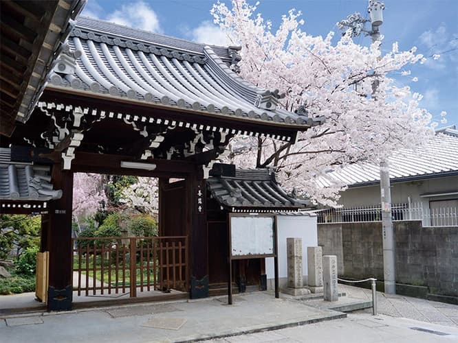 善龍寺墓地（史跡 口縄坂）