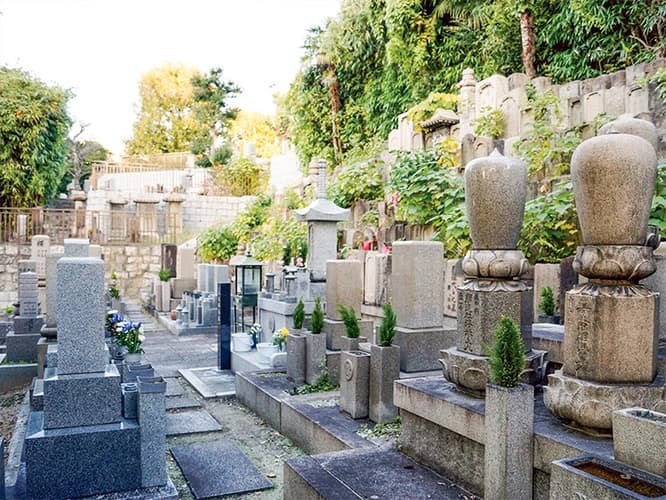 善龍寺墓地（史跡 口縄坂）
