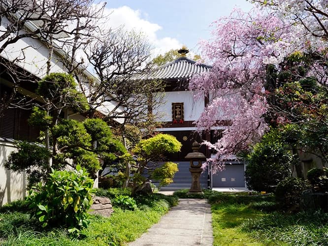 善龍寺墓地（史跡 口縄坂）