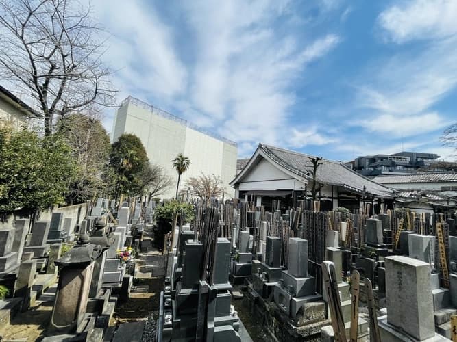 慈照院