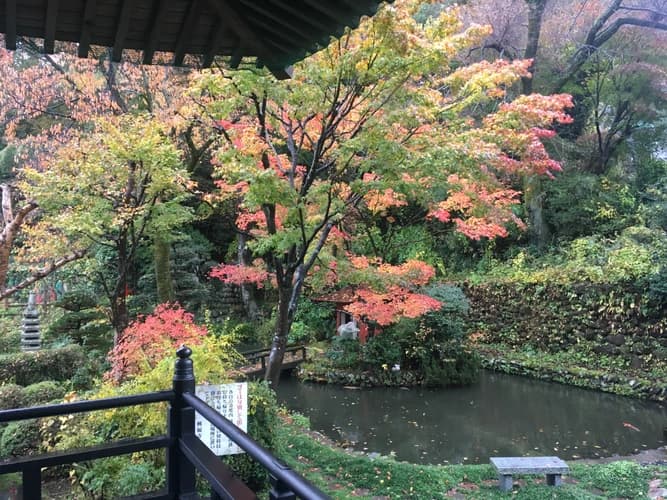 興福寺墓苑