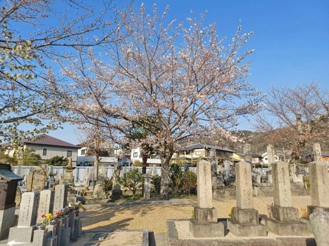 私市共同墓地