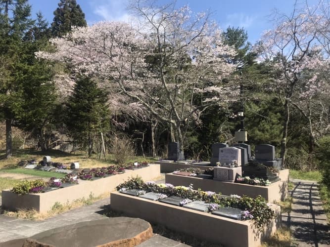 樹木葬霊園 マイメモリーいずみ