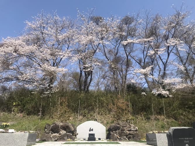 樹木葬霊園 マイメモリー仙台北 ～大和の杜～