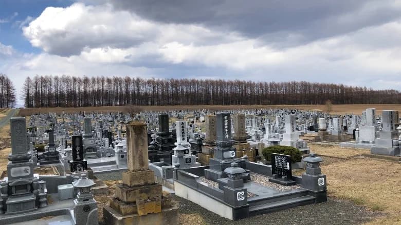 訓子府墓地
