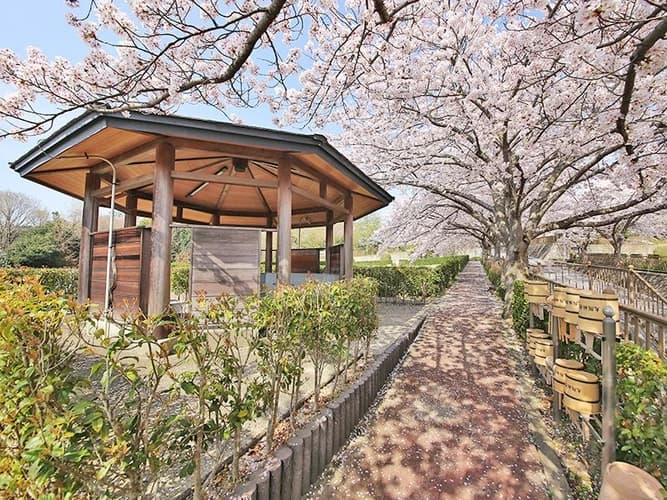 大阪柏原聖地霊園 永代供養樹木葬「ひなた」