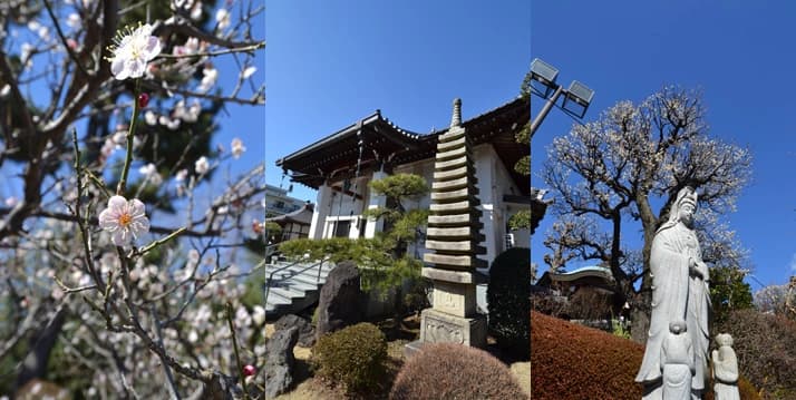 観福寺あざみ野霊園