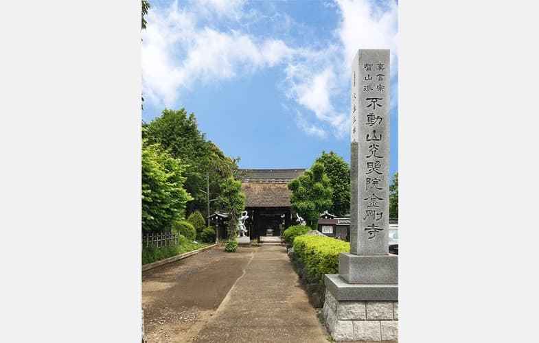 「愛樹木葬」朝霞樹木葬墓地