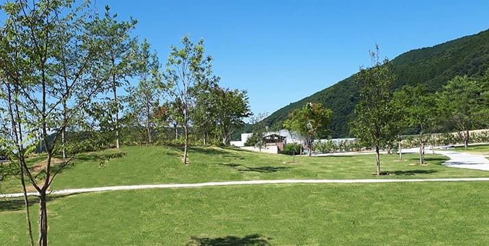 明治の森霊園  樹木葬・永代供養墓
