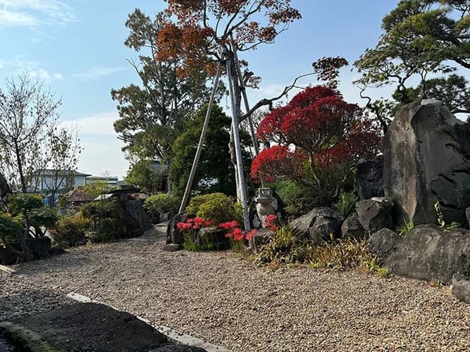 遍照寺 のうこつぼ