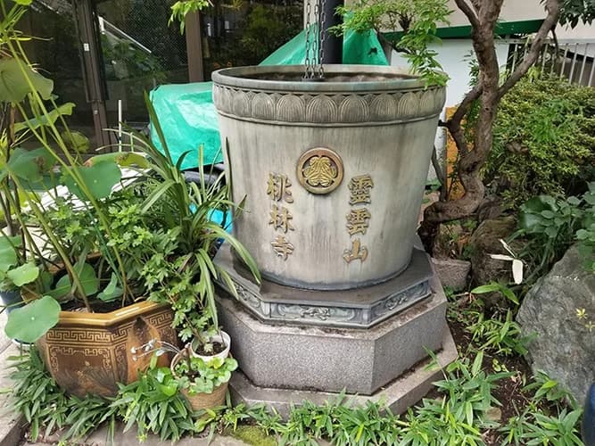 桃林寺 のうこつぼ
