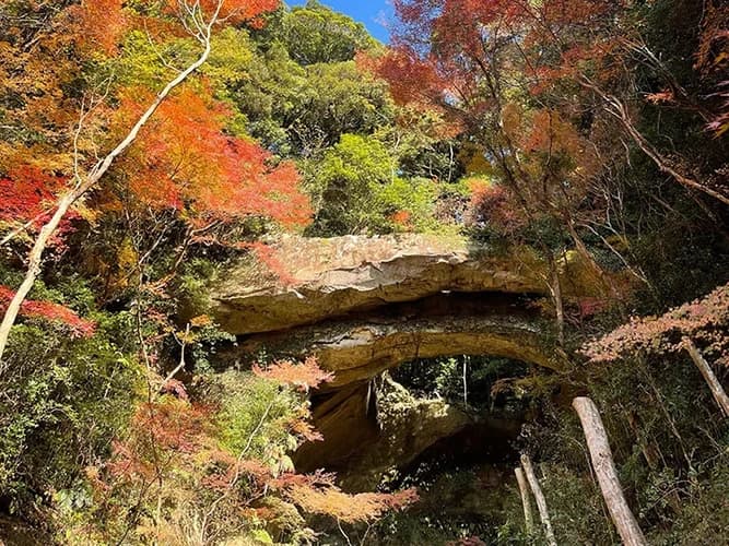 御橋観音寺 のうこつぼ