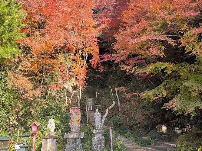 御橋観音寺 のうこつぼ
