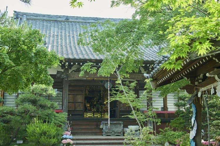 早稲田　樹木葬　想咲手水