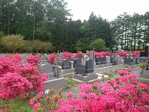 西軽井沢 向原霊園