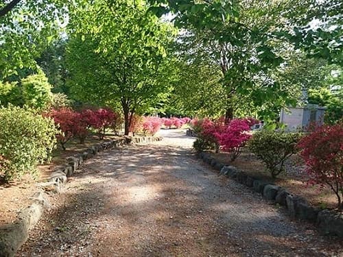 西軽井沢 向原霊園