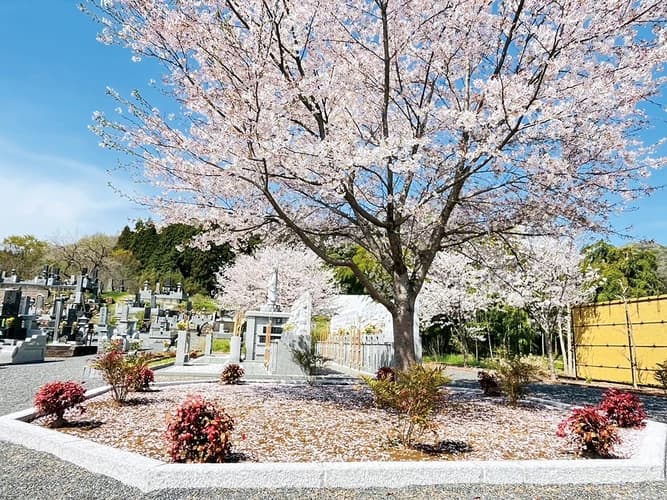 心花の里樹木葬墓地  永代供養・樹木葬墓苑  心花の里  報恩寺内