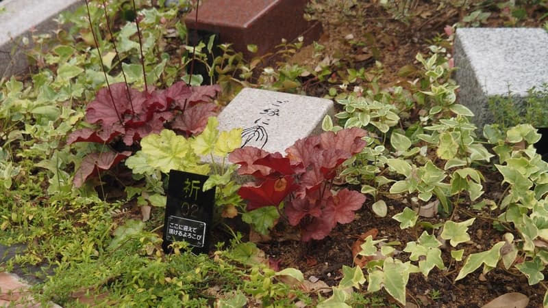 niwabo・安楽寺樹木葬