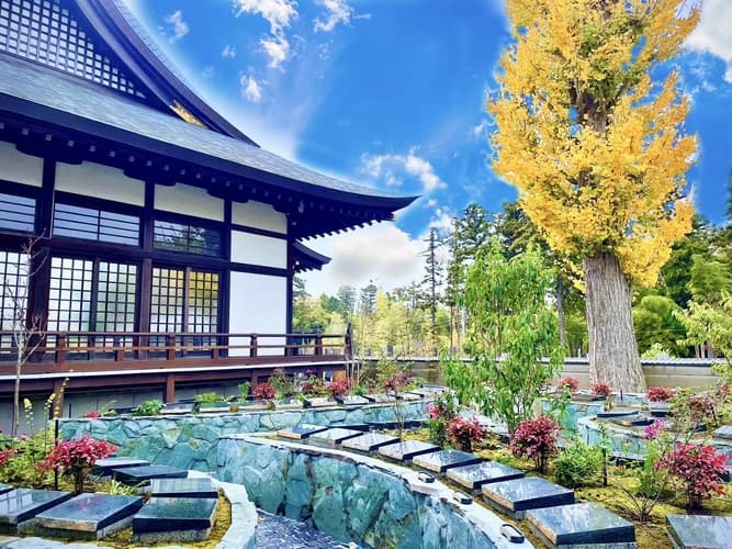 流山市 樹木葬 「彩華」