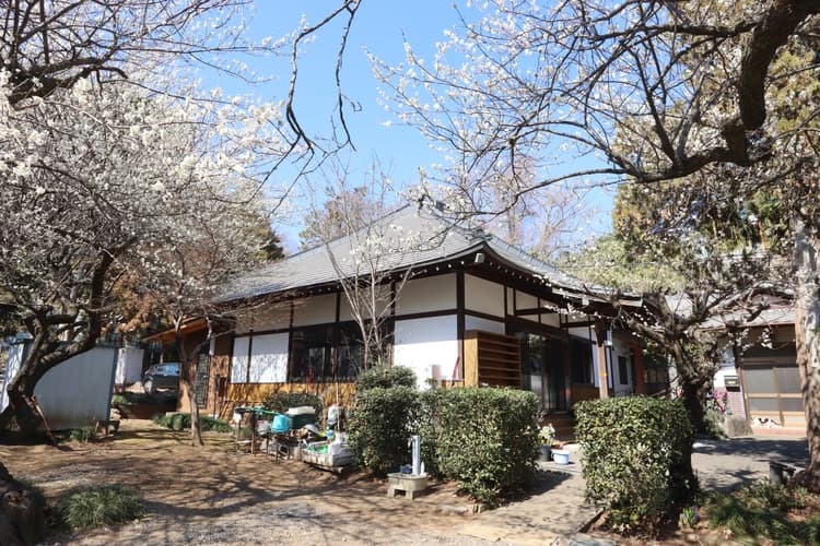座間市 個別式樹木葬墓地 龍洞院