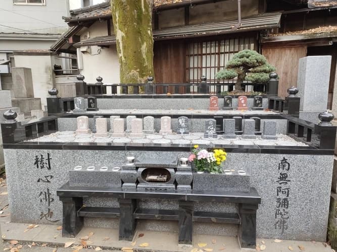 正德寺 欅の杜 樹木葬 樹心～じゅしん～