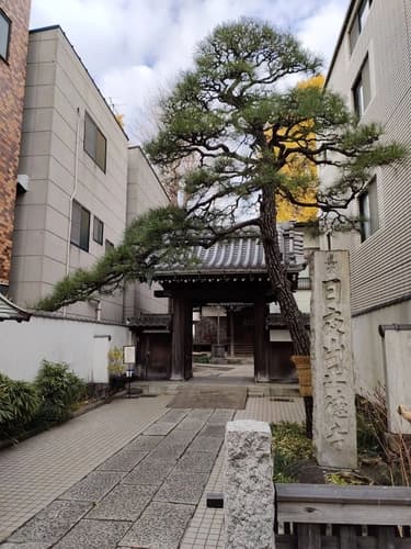 正德寺 欅の杜 樹木葬 樹心～じゅしん～