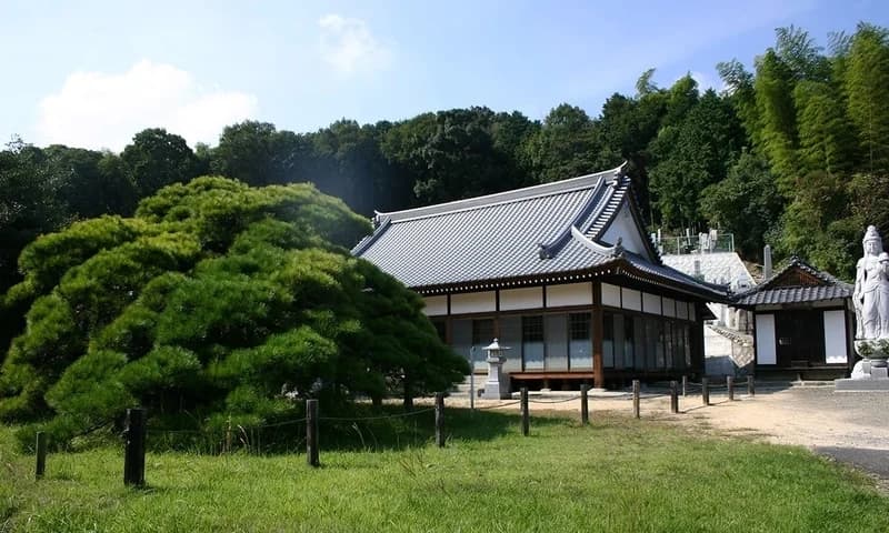 今治 浄寂寺墓苑 樹木葬