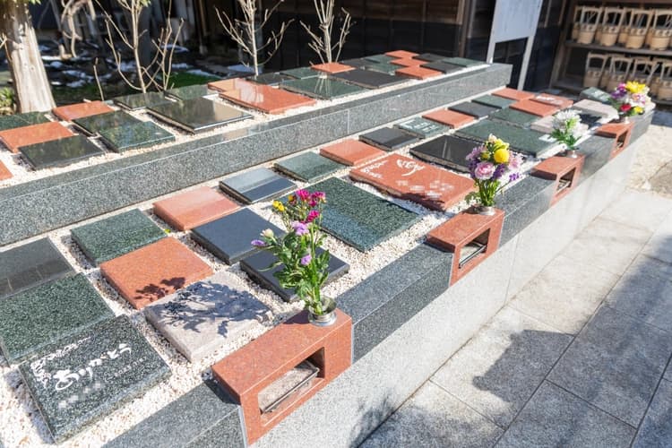 小さな森の樹木葬 上野