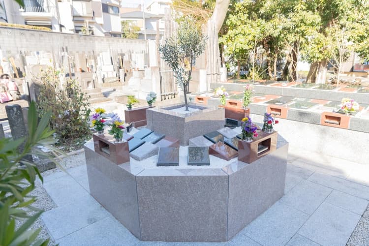 小さな森の樹木葬 上野