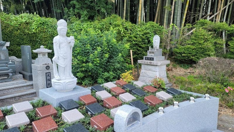 鹿沼・宇都宮いちょうの郷 圓満寺