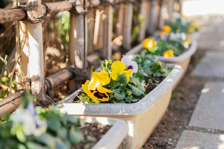 松戸永代供養墓霊園 善照寺