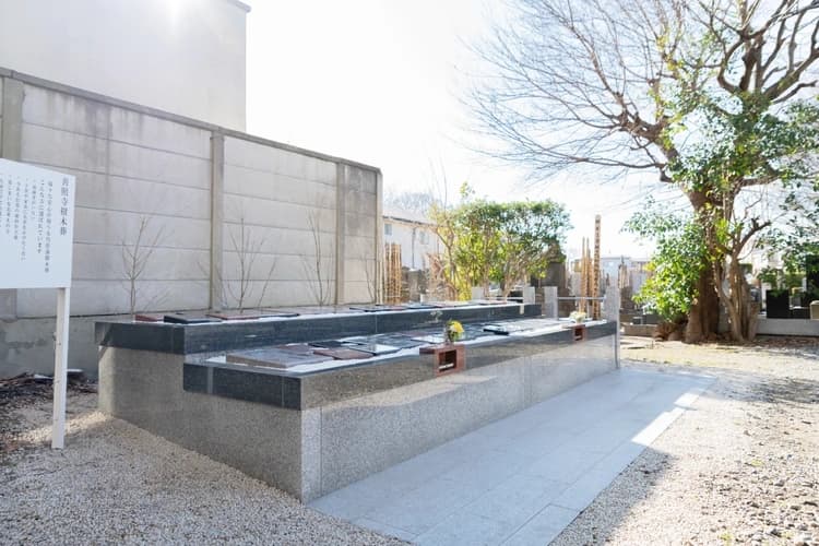 松戸永代供養墓霊園 善照寺