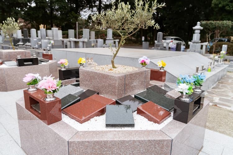 小さな森の樹木葬 白井