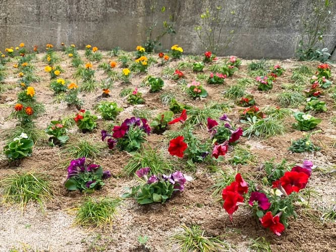 あおば 坂海望霊園