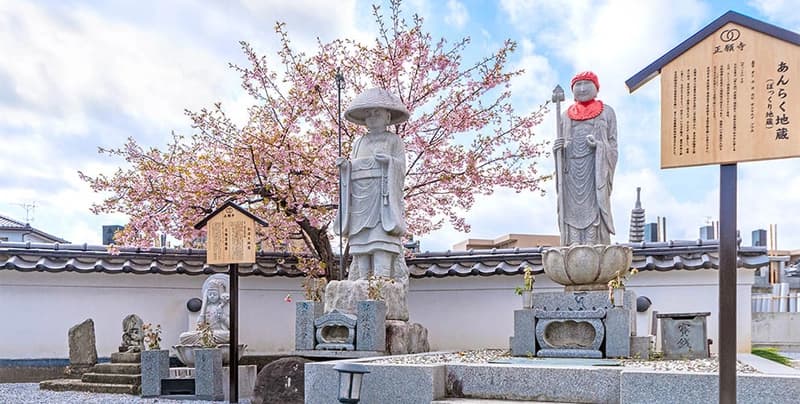 正願寺 群馬県太田市の永代供養墓・樹木葬（自然葬）