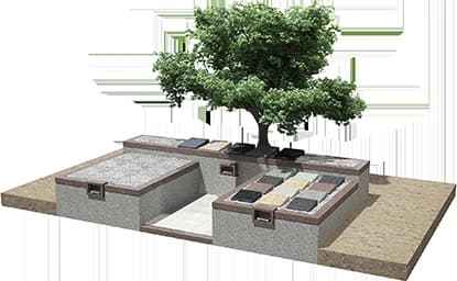 花海月 梅樹墓