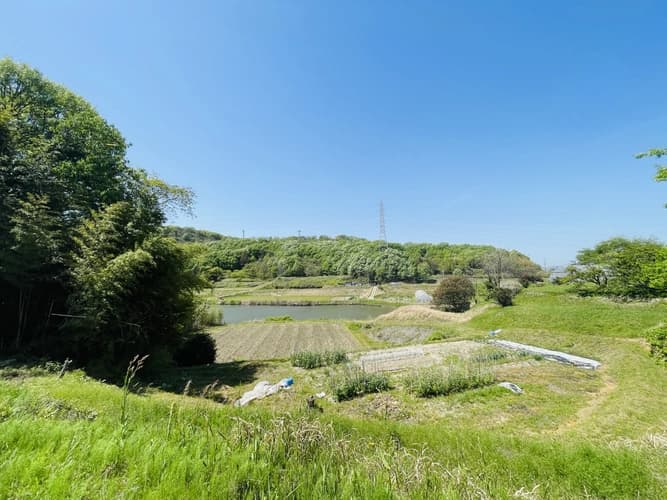 風景