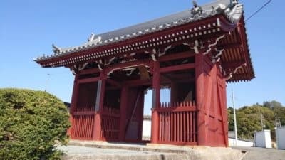 悟真院 永代供養墓