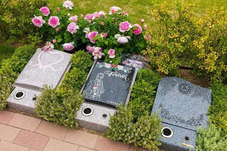 ふれあいの杜 天空